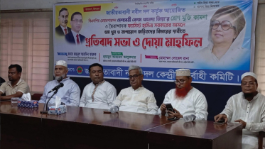 আ. লীগের কিছু দোসর অন্তর্বর্তী সরকারে আছে: ফারুক 