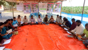পীরগঞ্জে কৃষিতে আধুনিক প্রযুক্তি  ও উৎপাদন বৃদ্ধিতে পার্টনার ফিল্ড স্কুল