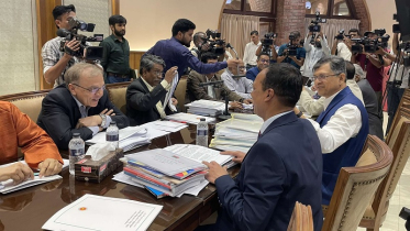 প্রধান উপদেষ্টার দিকনির্দেশনা মেনেই বৈঠক করা হচ্ছে: ড. আলী রীয়াজ
