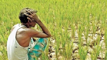 রংপুরে ভূমিহীন কৃষকের সংখ্যা বাড়ছে
