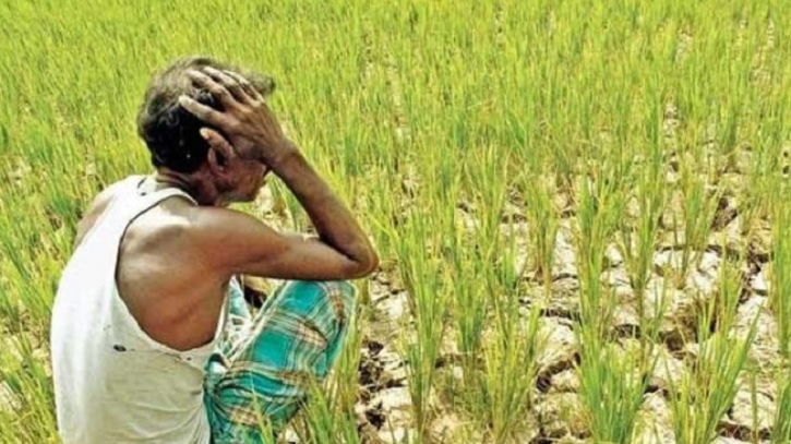 রংপুরে ভূমিহীন কৃষকের সংখ্যা বাড়ছে