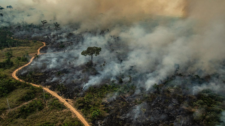Fires blaze across the Amazon forest in Altamira in Pará in 2019, one of the state’s worst years for fires and deforestation. Most Amazon deforestation is caused by slash and burn agriculture, creating pastures for cattle. Image © Victor Moriyama/Greenpeace.