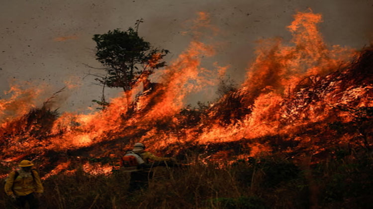 Rainforest burning in Brazil’s Amazonas state last August. The country lost 25,000 sq km of rainforest last year, with Bolivia losing 14,000 sq km. Photograph: Adriano Machado/Reuters