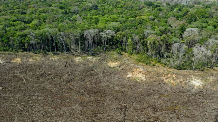 Deforestation-driven heat linked to over half a million deaths in past two decades, study warns Deforestation-driven heat linked to over half a million deaths in past two decades, study warns