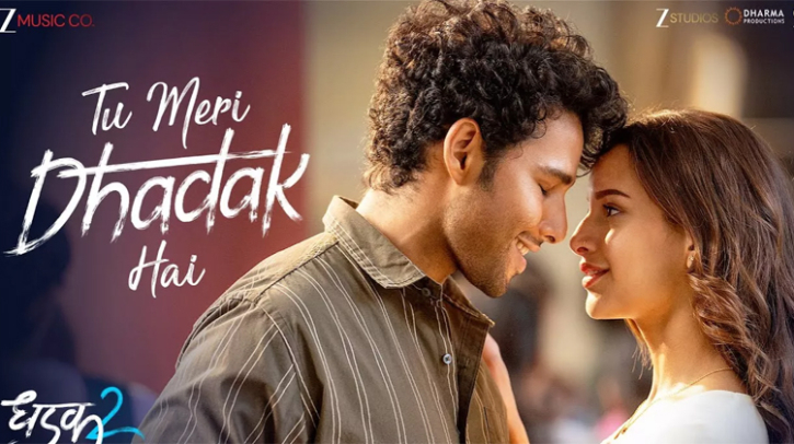 Triptii Dimri and Siddhant Chaturvedi Starrer Dhadak 2: Screen Performance, Box Office and OTT Release Update Triptii Dimri and Siddhant Chaturvedi Starrer Dhadak 2: Screen Performance, Box Office and OTT Release Update