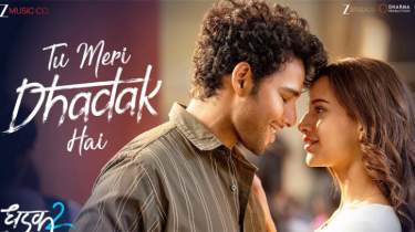 Triptii Dimri and Siddhant Chaturvedi Starrer Dhadak 2