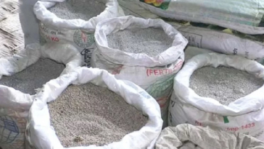 ঝিনাইদহে সরকারের বেঁধে দেওয়া ২৭ টাকার সার বিক্রি হচ্ছে ৬০ টাকায়