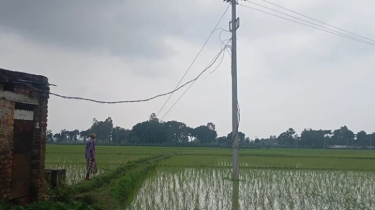 বিদ্যুতের খুঁটি টানার তারে জড়িয়ে ৫ শিশু হাসপাতালে