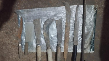 ফেনীতে যৌথবাহিনীর অভিযানে অস্ত্রসহ আটক ২ ছাত্রদল নেতা