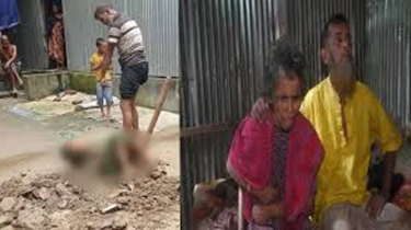 ভিউ ব্যবসার বলি হয়েছেন ভাইরাল হওয়া বৃদ্ধ দম্পতি: জানা গেল তাদের  আসল পরিস্থিতি