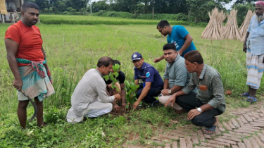 নিজ উদ্যোগে ১ হাজার ঔষধি গাছের চারা রোপণ শুভ উদ্বোধন করলেন গোয়ালন্দ ওসি