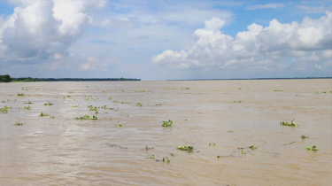 রাজবাড়ীতে বেড়েছে বন্যার পানি, নিম্নাঞ্চল জর্জরিত