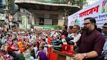গণতন্ত্র এখনো পরিপূর্ণভাবে প্রতিষ্ঠা হয়নি : আমিনুল হক