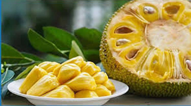 প্রথমবারের মতো সমুদ্রপথে সাড়ে ৩ টন কাঁঠাল রপ্তানি