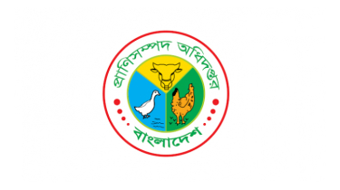 দুধ ও মাংস উৎপাদন বৃদ্ধির পরিকল্পনা গ্রহণ করেছে সরকার