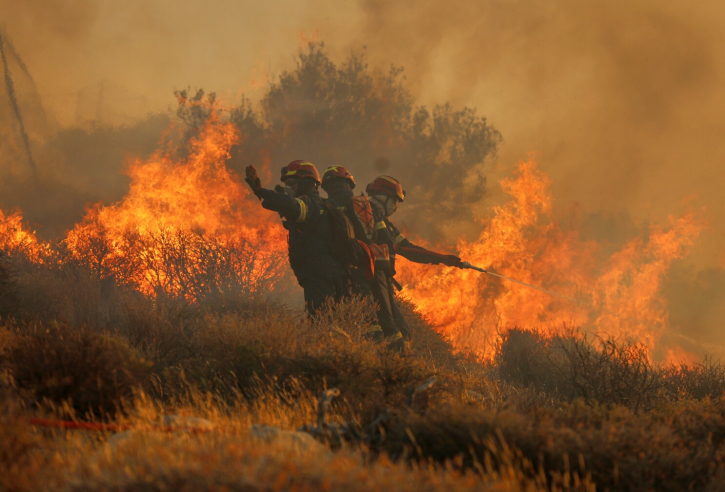 Deadly Wildfires and Sweltering Heat Force Mass Evacuations Across Spain
