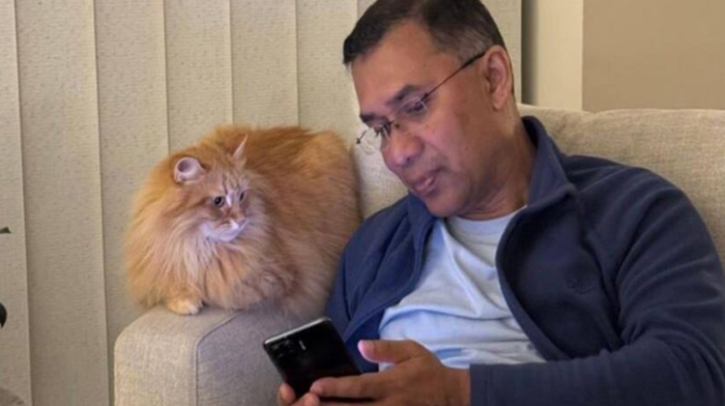 পেল পাসপোর্ট তারেক রহমানের আদরের সেই পোষা বিড়ালও