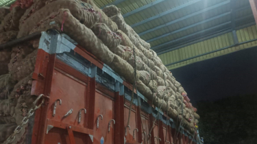 ভারত থেকে এলো ৬০ মেট্রিক টন পেঁয়াজ: বাজারে দামের প্রভাব ভারত থেকে এলো ৬০ মেট্রিক টন পেঁয়াজ: বাজারে দামের প্রভাব