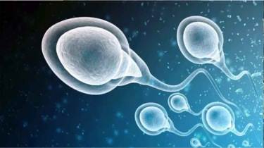 রাতে ঘুম কম হলে কম হলে পুরুষের যে সমস্যা হতে পারে রাতে ঘুম কম হলে কম হলে পুরুষের যে সমস্যা হতে পারে