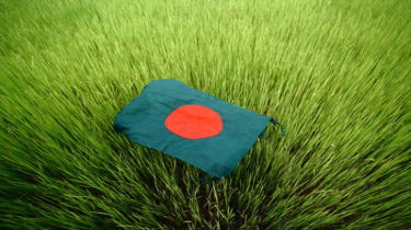 আজ মহান বিজয় দিবস