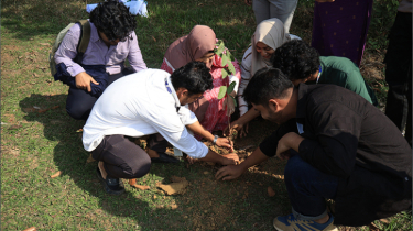 Green Legacy Plantation Program 2025 Held at Daffodil International University