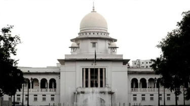 Supreme Court Begins Hearing on Appeals Over Caretaker System Verdict Supreme Court Begins Hearing on Appeals Over Caretaker System Verdict