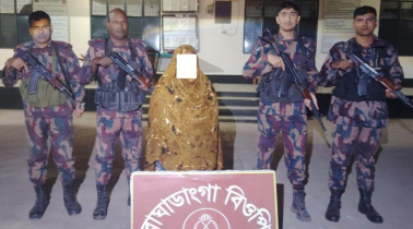 ভারতে অনুপ্রবেশকালে বাঘাডাঙ্গা সীমান্তে নারী আটক