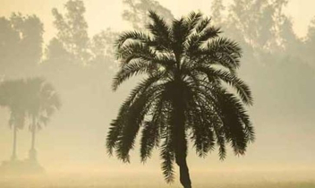 পঞ্চগড়ে তাপমাত্রা নামলো ১১ ডিগ্রিতে পঞ্চগড়ে তাপমাত্রা নামলো ১১ ডিগ্রিতে