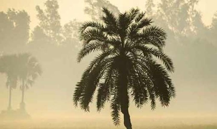 পঞ্চগড়ে তাপমাত্রা নামলো ১১ ডিগ্রিতে