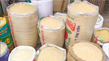 চালের বাজারে নজরদারিতে সরকার: খাদ্য উপদেষ্টা