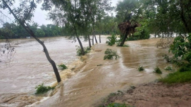 ভারতীয় পাহাড়ী ঢল, ফেনী ও কুমিল্লায় ভয়াবহ বন্যার শঙ্কা