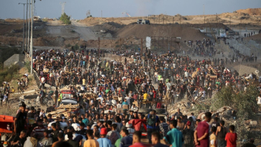 Nearly 800 Gazans killed trying to access food aid since late May
