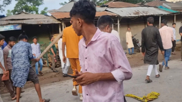 চাঁদপুরে বিএনপির গণমিছিলে হামলা, আহত ১০