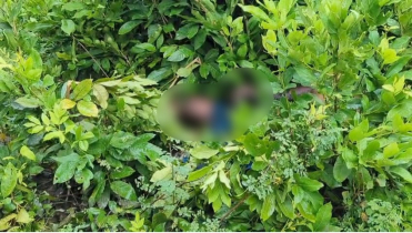কুয়াকাটায় ঝোপ থেকে যুবকের মরদেহ উদ্ধার, পরিকল্পিত হত্যার আশঙ্কা