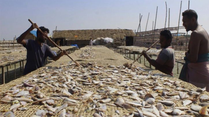 Turning your nose? How ‘shutki’ can be a mainstay of Bangladesh’s