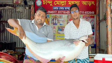 এক পাঙাশেই ৩৫ হাজার!
