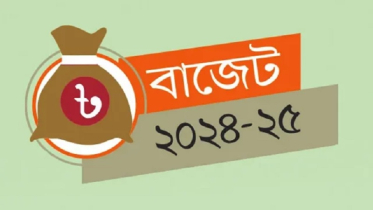 বাজেট কেন দিতে হয়?