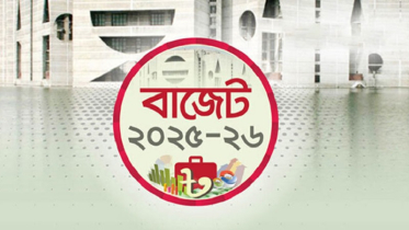 বাজেটে সুখবর, দাম কমতে পারে যেসব পণ্যের