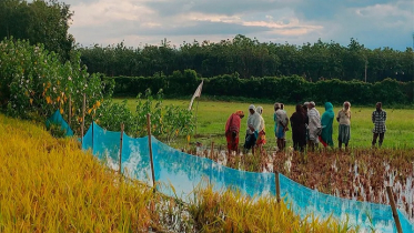 বিদেশি অ্যাখ্যা দিয়ে মুসলিম নাগরিকদের বাংলাদেশে পাঠাচ্ছে ভারত