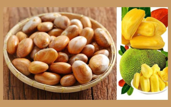 কাঁঠালের বীজ চুল পড়া ও মানসিক উদ্বেগ কমায়