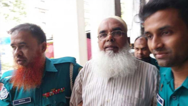 স্বাস্থ্যের সাবেক গাড়িচালক মালেকের ১৩ বছরের কারাদণ্ড