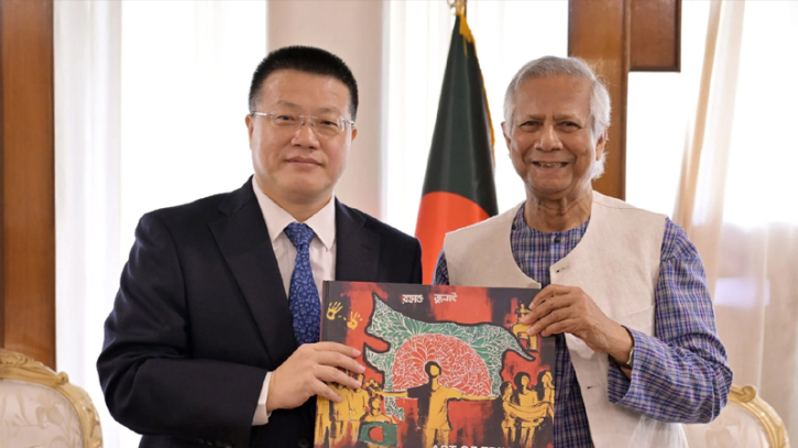 Chinese solar panel giant Longi to invest in Bangladesh: envoy