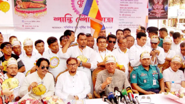দেশে কোনো সংখ্যাগরিষ্ঠ রাজনীতি হবে না : আমীর খসরু