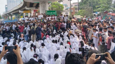 ফের আন্দোলনে পলিটেকনিক শিক্ষার্থীরা, সারাদেশে বিক্ষোভের ডাক