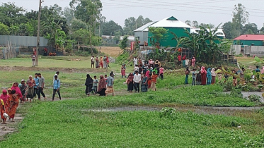 টাঙ্গাইলে মুরগীর ফার্ম কর্মচারীকে জবাই করে হত্যা