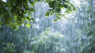 টানা ৫ দিন বৃষ্টি হতে পারে যেসব অঞ্চলে