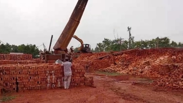 রংপুরে অবৈধ ইটভাটা গুড়িয়ে দিলো প্রশাসন
