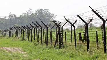 ভারত থেকে অবৈধভাবে অনুপ্রবেশের দায়ে আটক ৫