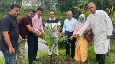রংপুরে বেগম রোকেয়া স্মৃতিকেন্দ্রের বৃক্ষরোপণ