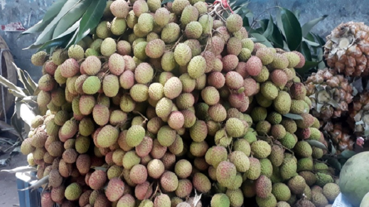 দিনাজপুরের বাজারে উঠেছে অপরিপক্ব লিচু